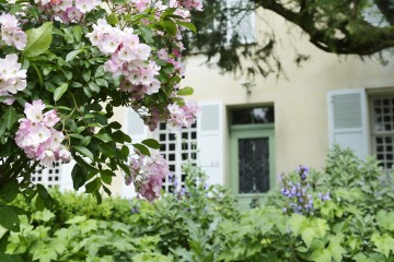 Visite découverte du Jardin du docteur Gachet