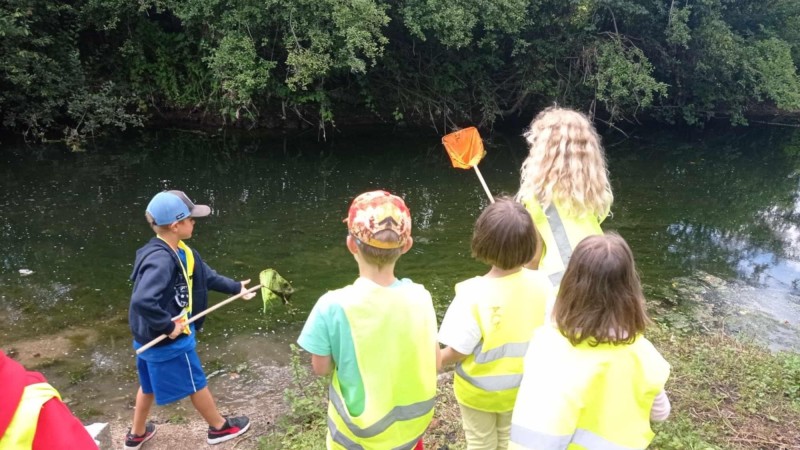 Atelier famille “À vos épuisettes ! découverte des petites bêtes de la mare ”