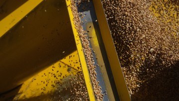Visite contée de l'exposition "Une odyssée en terre agricole"