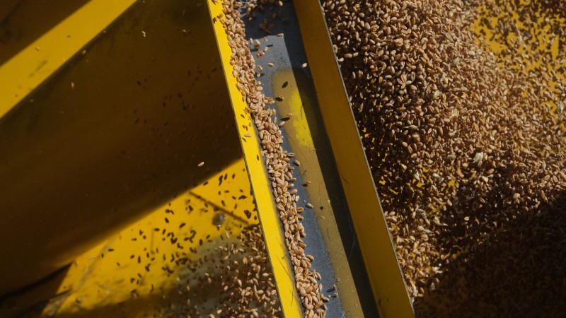 Visite contée de l'exposition "Une odyssée en terre agricole"