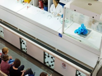 Réactions en tout genre