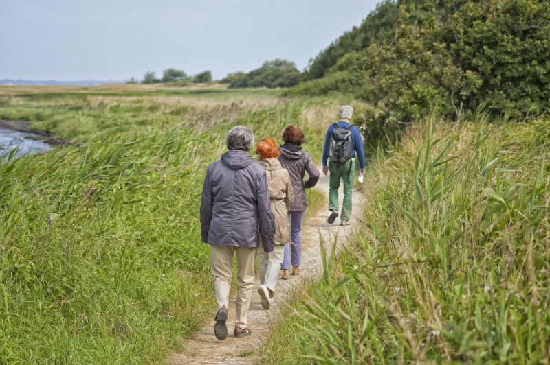 Randonnée pédestre