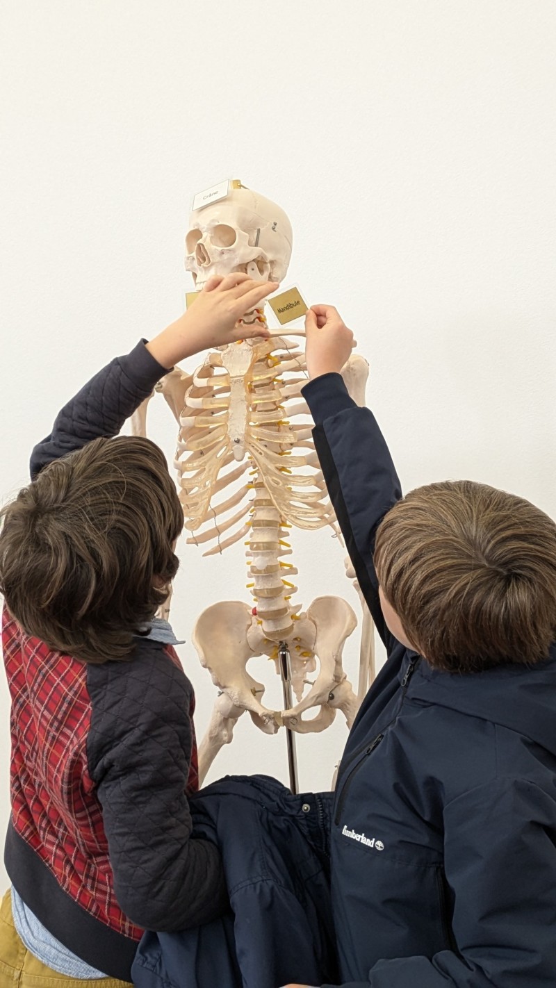 Atelier faire parler les morts, l’archéo-anthropologie