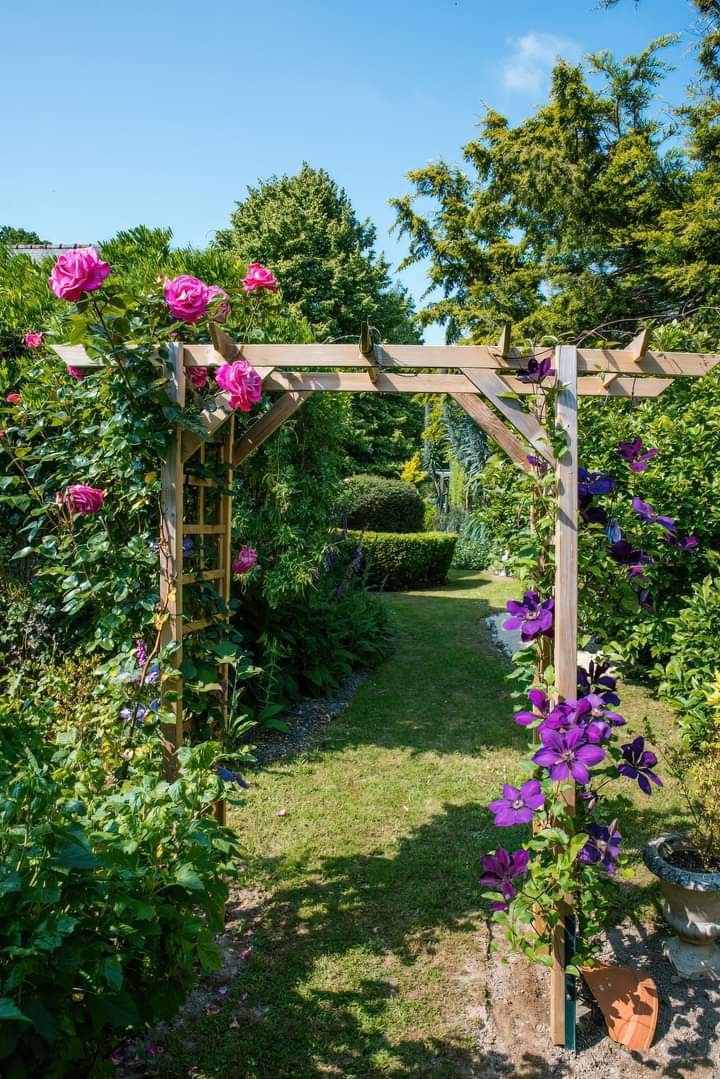 Visite du Jardin et de la Motte Féodale de La Haye au Lion