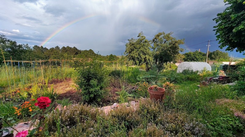 Visite libre du Jardin Solidaire et Partagé