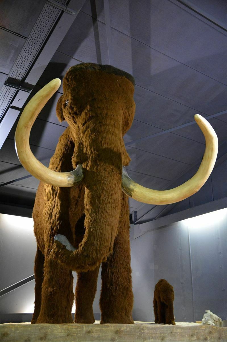 FIRA : Festival de la Randonnée en Cévennes