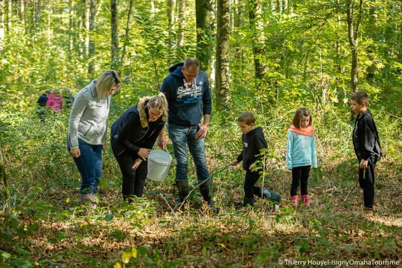 Rendez-vous créatif "Le monde fascinant des vers de terre"