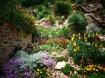 Visite guidée du jardin