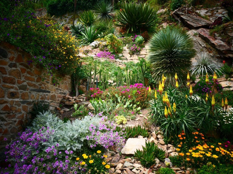 Visite guidée du jardin