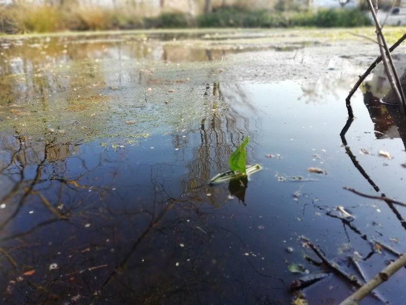 Découverte d'Orbec au fil de l'eau
