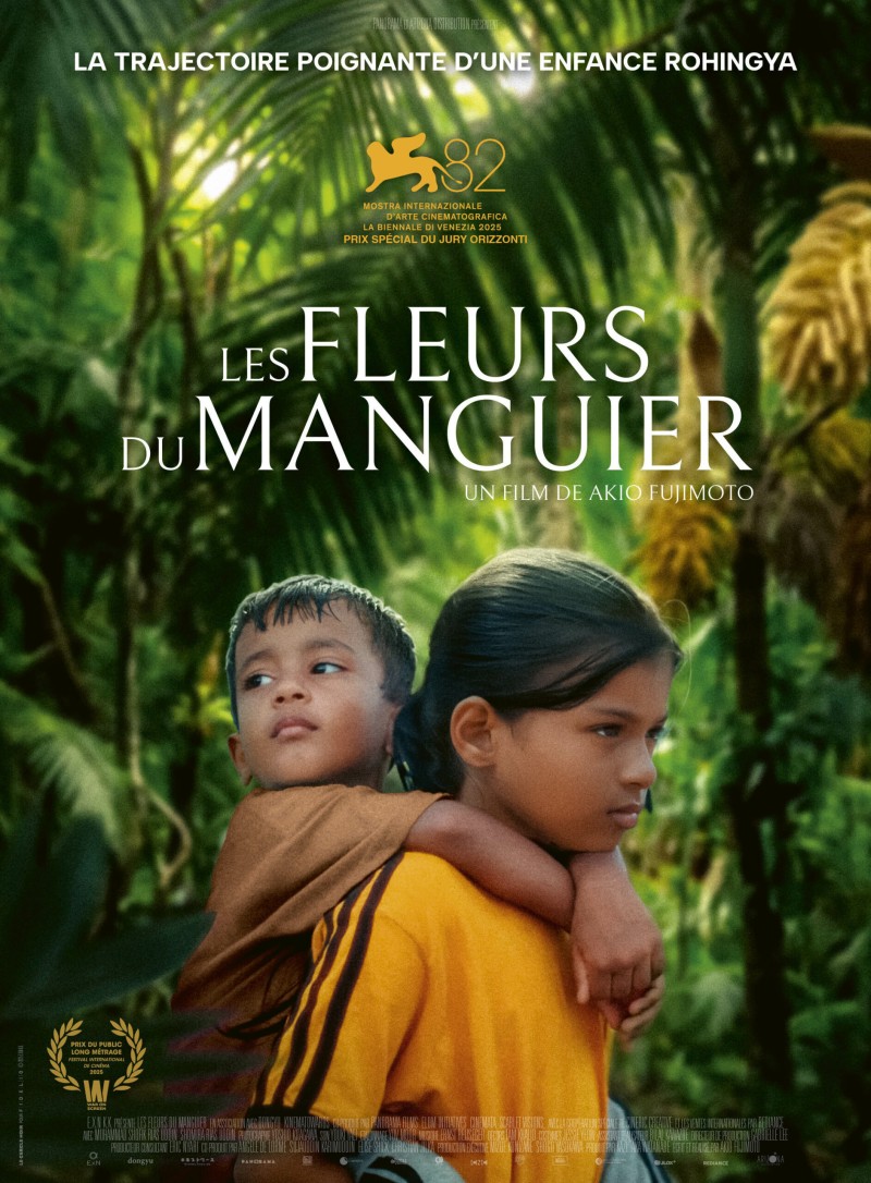Les Fleurs du Manguier - Ciné-débat