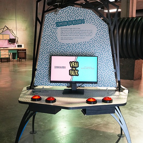 Quiz L'erreur a son mot à dire