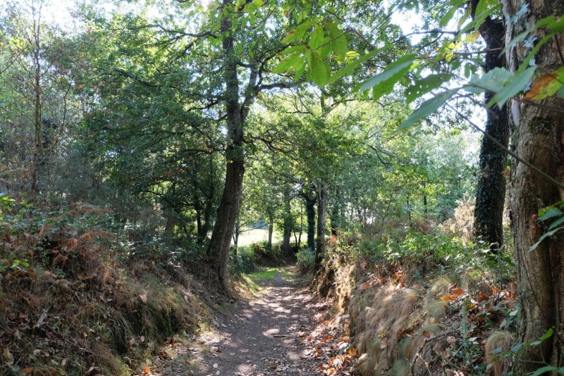 Balade contée dans la vallée de l'Aure