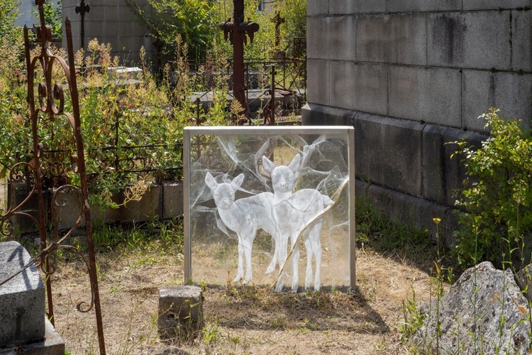 Cimetière Miséricorde - Visite guidée