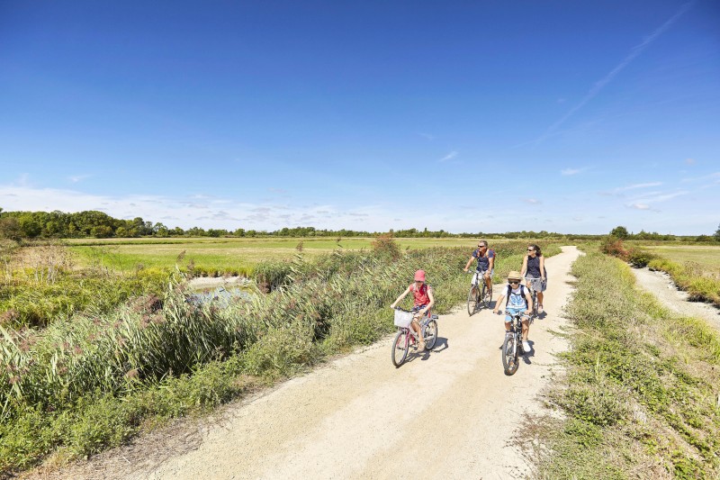 Balade à vélo « à la découverte de la biodiversité entre bocage et marais »