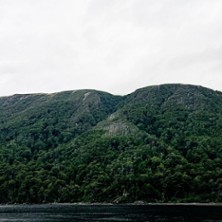 Maldoror - Festival d'Avignon