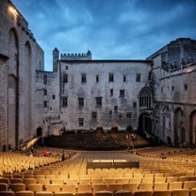 Oiseau - Festival d'Avignon