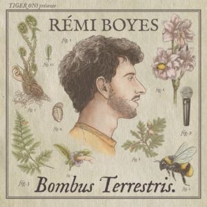 RÉMI BOYES - BOMBUS TERRESTRIS