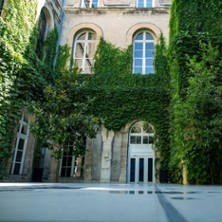 Vive le Sujet Tentative - Série 1 - Festival d'Avignon