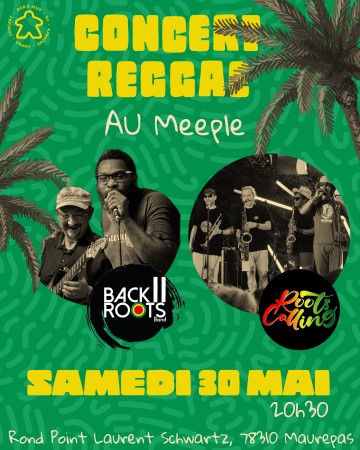 Concert Reggae au Meeple