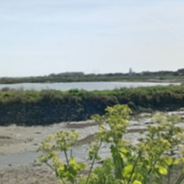 Inauguration panneau chemin ludique « À la découverte du traict »