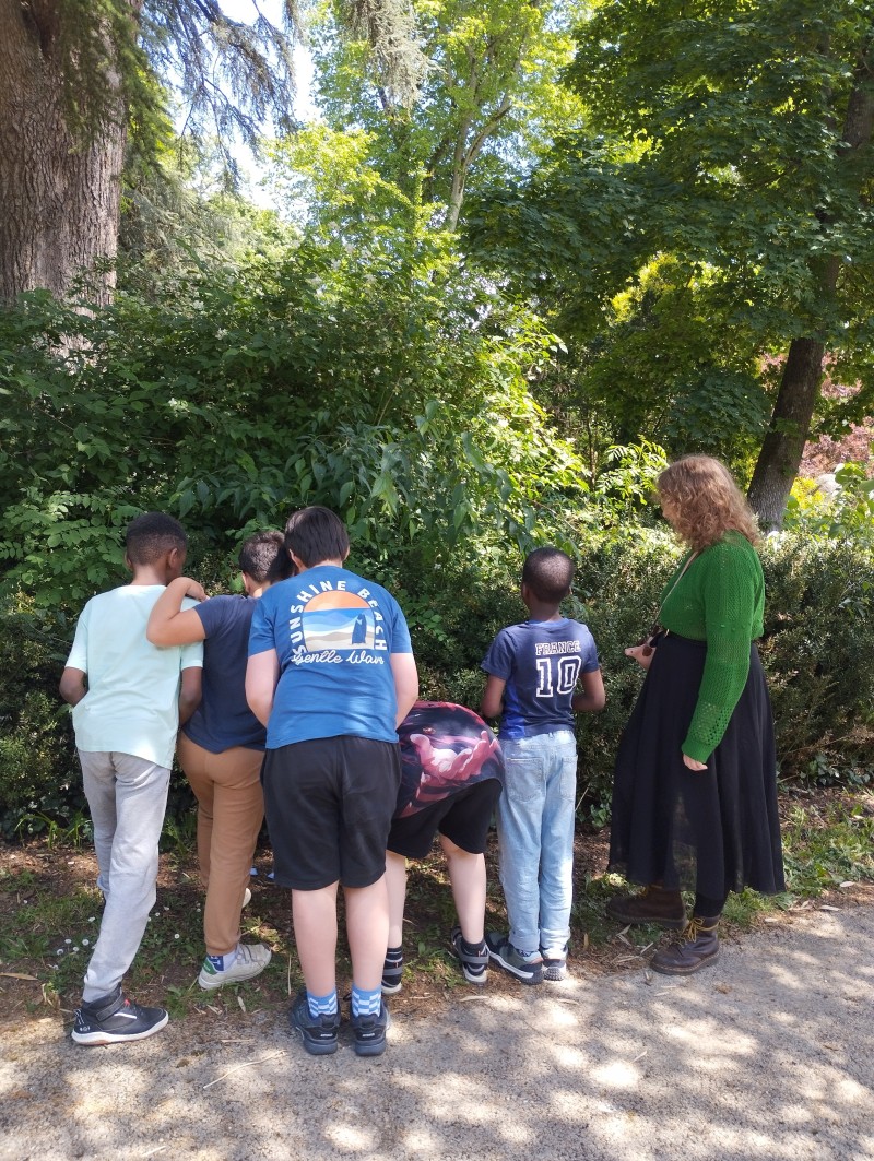 Atelier d’observation « Le jardin des Arènes à la loupe »