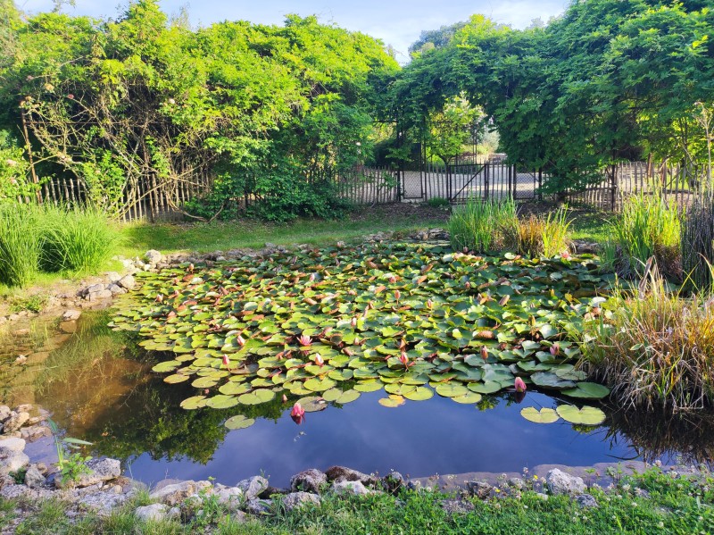 Découverte du jardin en recherchant des indices