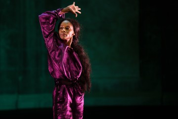 The Disappearing Act — Yinka Esi Graves