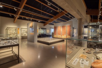 Voyage au cœur de la cité antique de Lattara