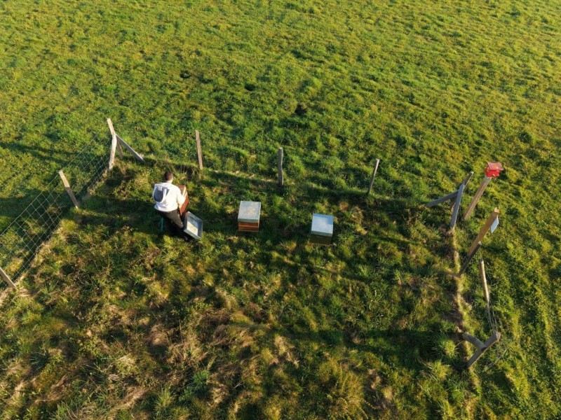 Découverte des ruches