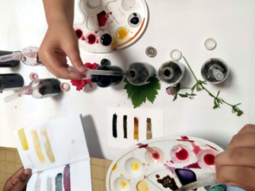 Atelier Les couleurs du vivant