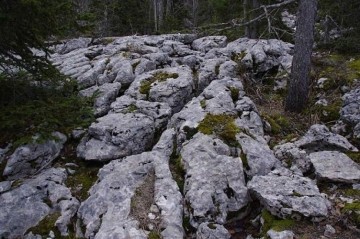 Explorateurs du Vercors : une aventure géologique