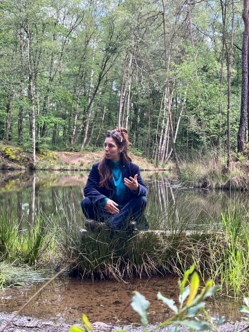 Pépinière d'Histoires, Stage de création d'histoires autour du végétal