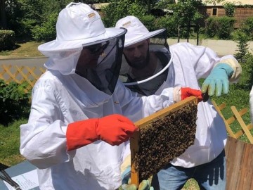 Découverte de l'apiculture à Bordeaux- Pessac