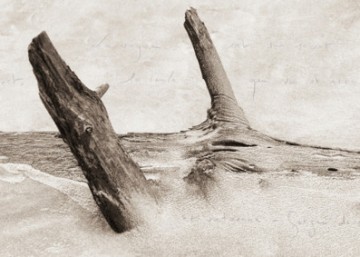 "Ces rivages perdus", avec l’auteur et photographe Camille Guichard