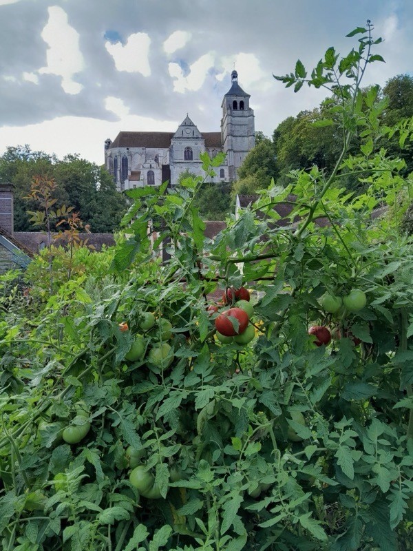 Visite du jardin de l'atelier Bourberault