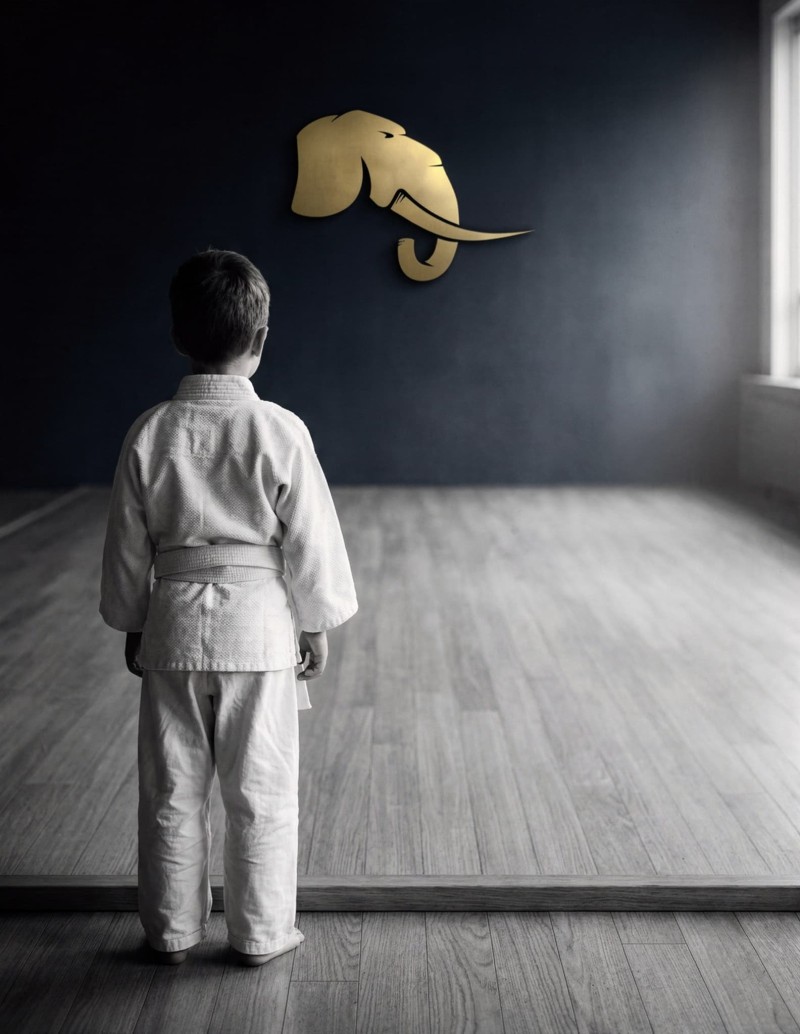 Promotion 2021 : Ouverture de la Liste d'Attente Prioritaire Éveil Judo & JJB (5 ans) - Jamet Sporting Club Bellevue