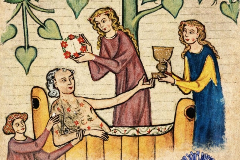 Visite commentée du jardin médiéval