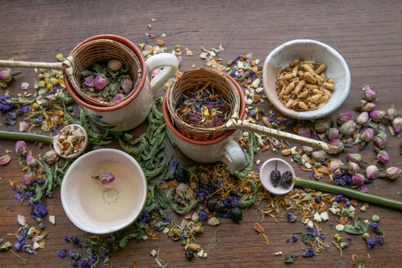 Atelier de plantes médicinales "Cure silhouette"