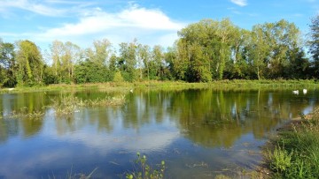 Visite de la zone humide "La Noue"