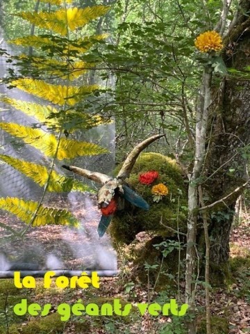 Visite de la forêt des Géants Verts