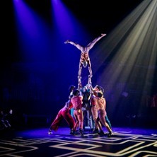 Moya - Zip Zap Circus