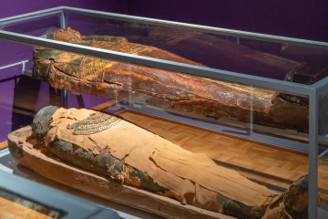 Visite guidée - Enquête sur la momie de Nesykhonsoupakhered