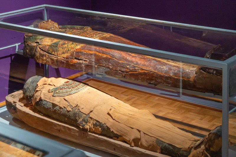 Visite guidée - Enquête sur la momie de Nesykhonsoupakhered