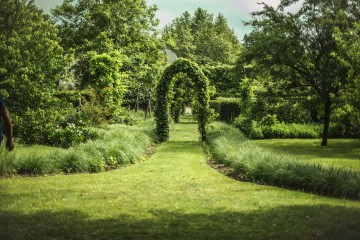 Visite découverte du jardin botanique et de l'arboretum