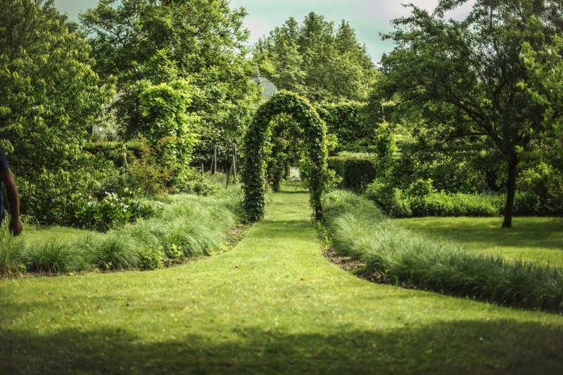 Visite découverte du jardin botanique et de l'arboretum