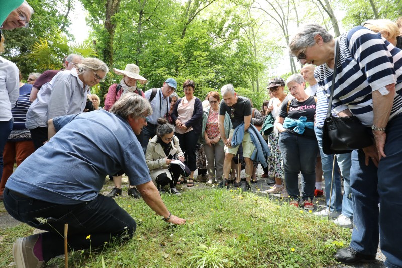 Visites et découvertes du jardin botanique