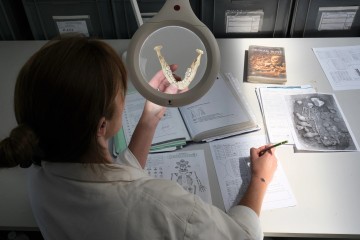 Paléomicrobiologie Corse - Etude des pathogènes des populations corses anciennes - UCPP