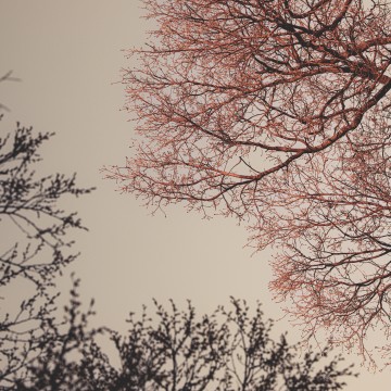 expo. photographies Noir et blanc d'Audrey Gros
