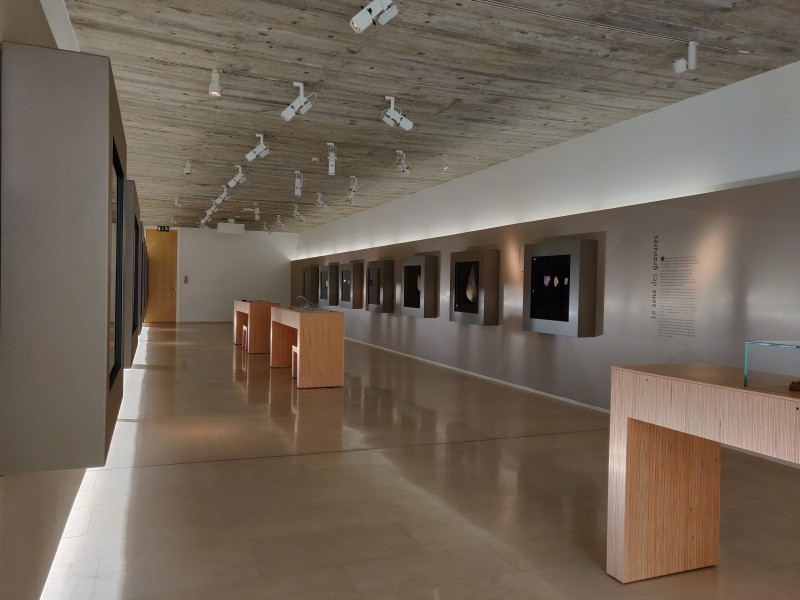 Portes ouvertes du Musée de Préhistoire